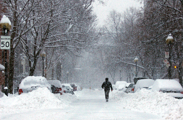 Snowy Walk